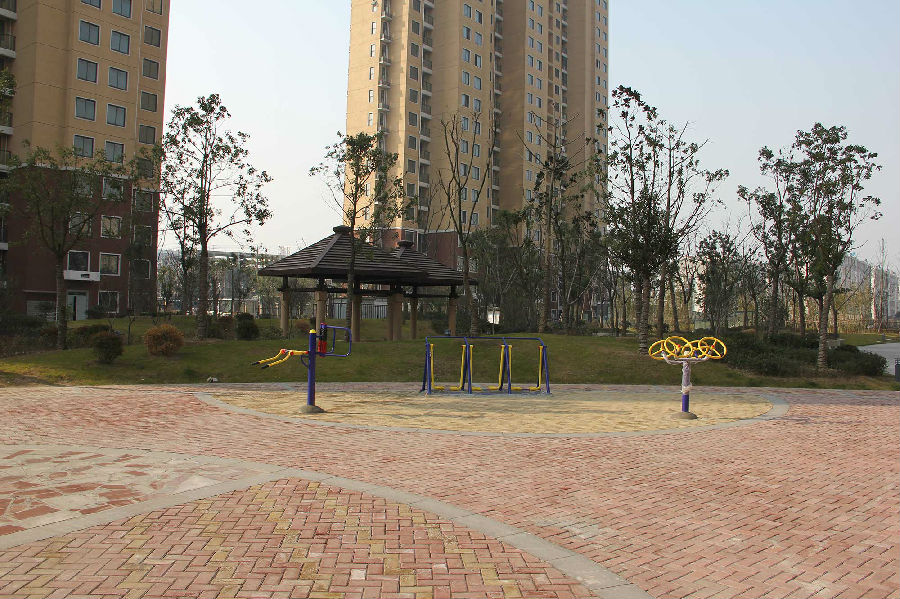 阳琴岛3.jpg