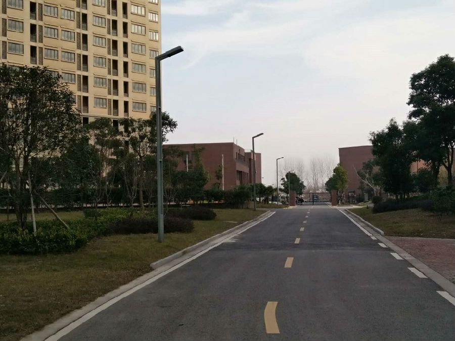 16.JPG